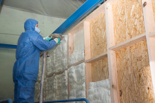 Best Cellulose Insulation  in Jurupa Valley, CA